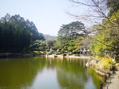 -三水森林公园