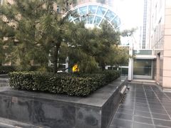 -北京港澳国际医务诊所(王府井大街店)