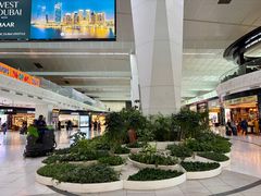 -英迪拉·甘地国际机场