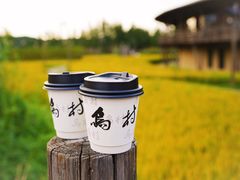 -乌村