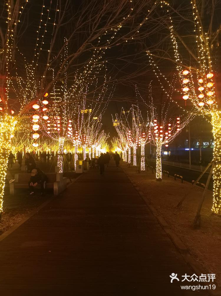 附近的夜景图片