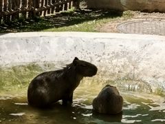 -鄂尔多斯野生动物园