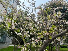-武汉大学校门牌坊