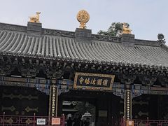 -护国法轮寺