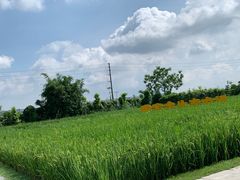 -迪茵湖田家舍生态农场