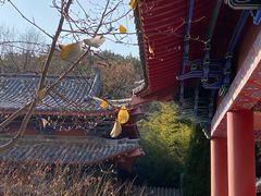 -石岛赤山风景区