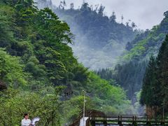 -龙苍沟森林公园