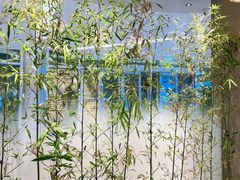 -十二舍·湯物素煮(江泰潤政店)