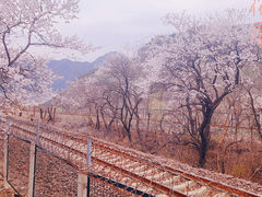 -居庸关长城