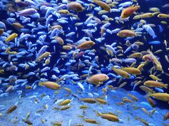 -成都浩海立方海洋公园