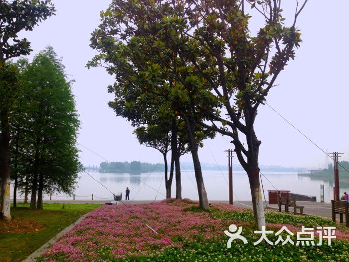 東沙湖生態公園