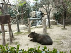 -上海野生动物园