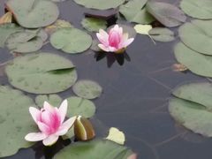-白马涧龙池景区