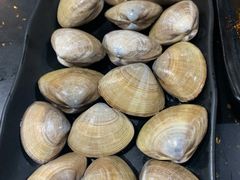 蚬子-丹东丛炟海鲜烧烤(江艺路店)