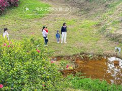 -光明小镇欢乐田园