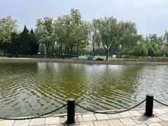 -泰丰公园