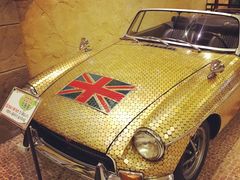 -信不信由你博物馆