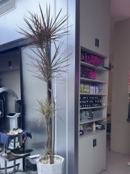点击看大图 -星格造型·Hair Salon