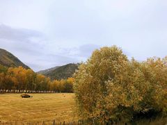 -可可托海景区