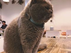 -小时光咖啡馆(北锣鼓巷店)