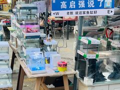 -中环花鸟鱼虫市场