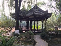-桂湖森林公园