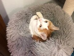 -WATER CAFE(广厦店)