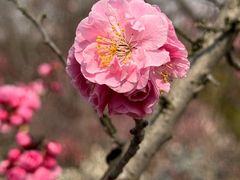 -郑庄脂渣海鲜楼(九水路店)