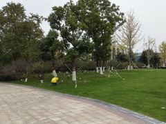 -湖州太湖旅游度假区-月亮广场
