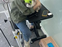 -爱洗澡的猫(望京店)