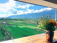 -翠田Green Field Kitchen