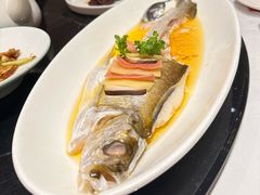 -上海1号私藏菜(黄浦店)