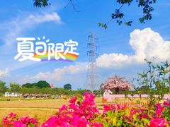 -盈香心动乐园