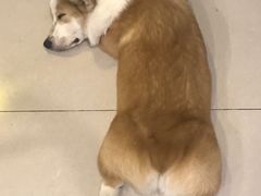 -平行世界·猫咖(首经贸店)