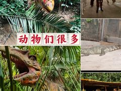 -呀路古热带植物园