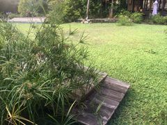 -亚马逊丛林水乐园