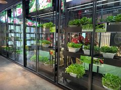 -番食园鲜食火锅(高新店)
