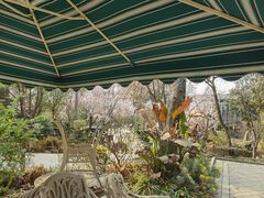 -悦哉·派对·草坪婚礼·围炉煮茶(三圣乡店)
