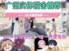 -lincat·猫舍(广州店)
