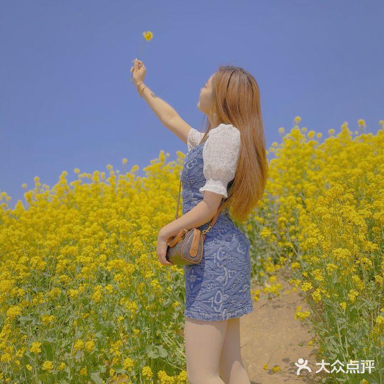 在天津也有【故事里的小黄花🌼】人少景美不要票！