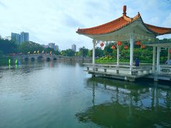 -荔湾湖公园