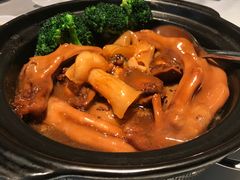 -皇朝会.经典传统粤菜(外滩店)