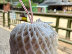 -野象谷景区