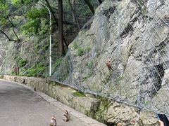 -黔灵山公园