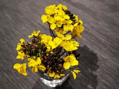 -青年火锅(吾悦广场直营店)