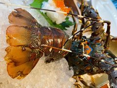 -Mr·Fish鱼鲜生海鲜放题(银泰in99店)