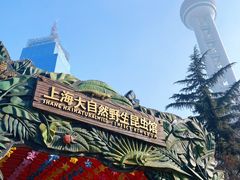 -上海大自然野生昆虫馆(东方明珠·爬宠昆虫探索中心)