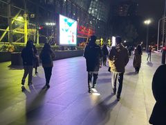 -上海东方艺术中心