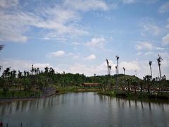 -枫香湖儿童公园