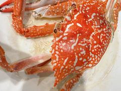 -小海豚•老字号海鲜餐厅(天涯店)